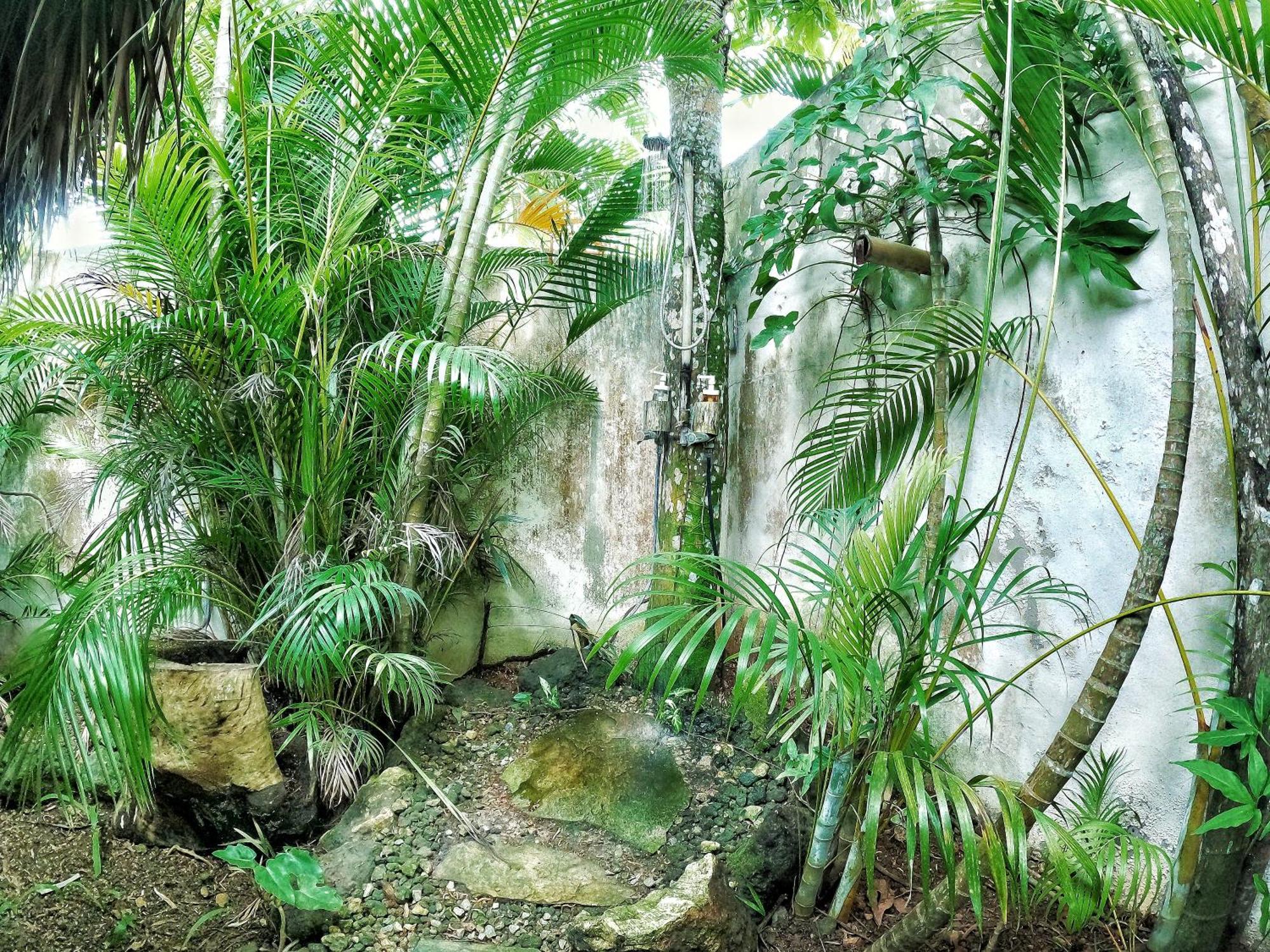 Dream Glamping Jungle Bohio Hotel Las Terrenas Exterior photo