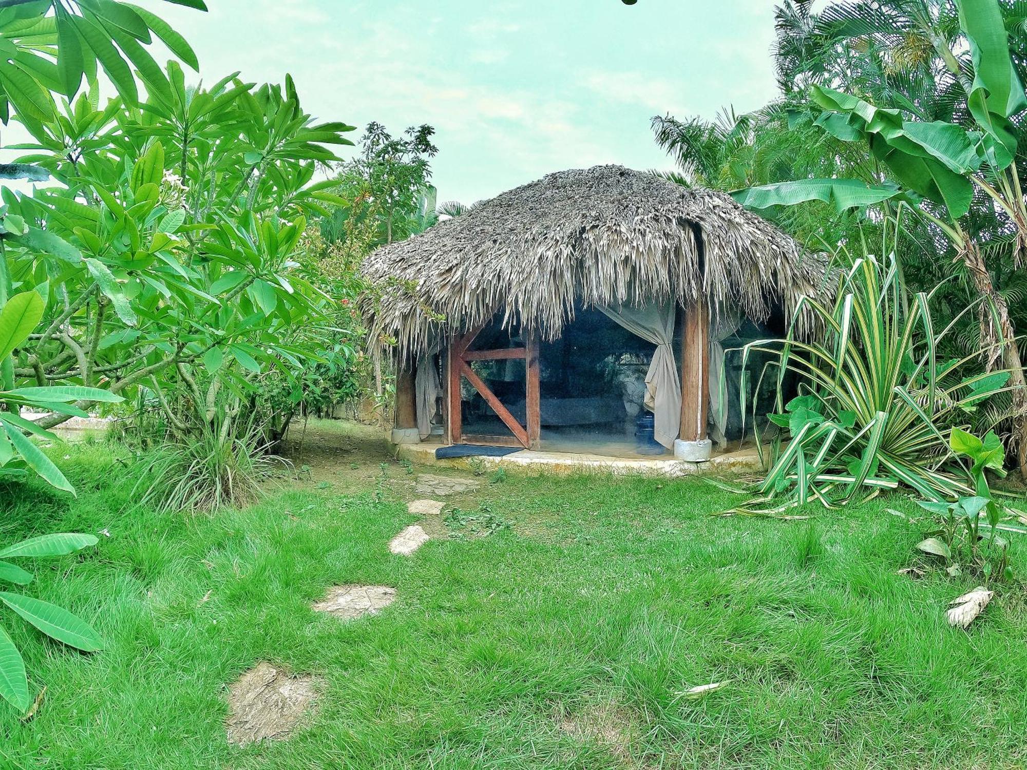 Dream Glamping Jungle Bohio Hotel Las Terrenas Exterior photo
